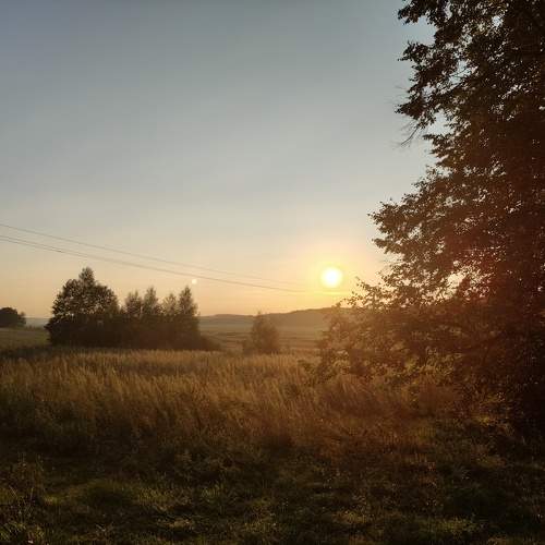 Photo #11047292