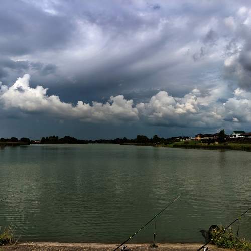 Photo #11047297