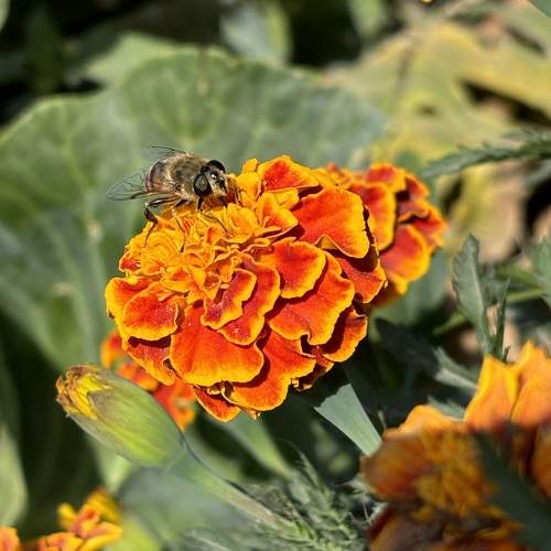 Photo #11047506