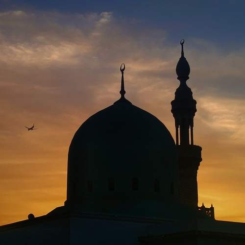 Photo #11047623
