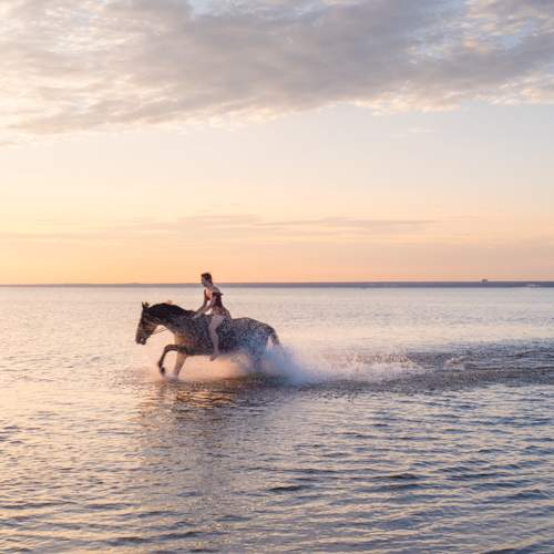 Photo #11047661