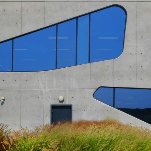 Photo #11047801