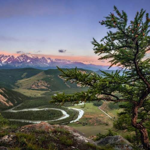 The bends of the Chuya River