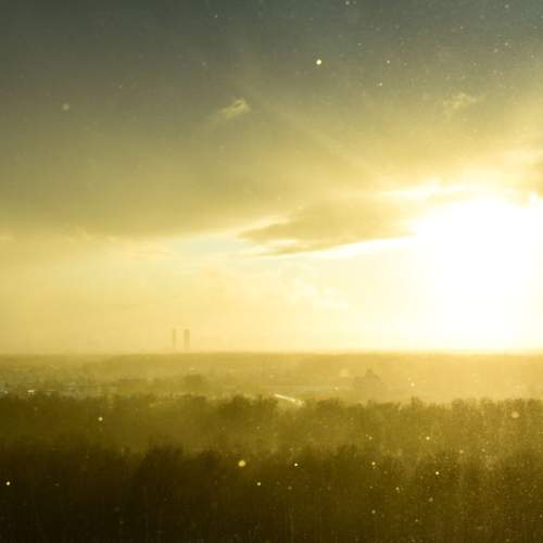 Photo #11048393