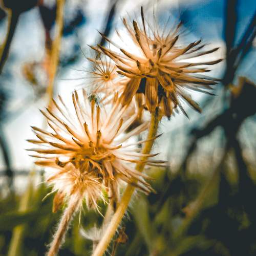 Photo #11048786