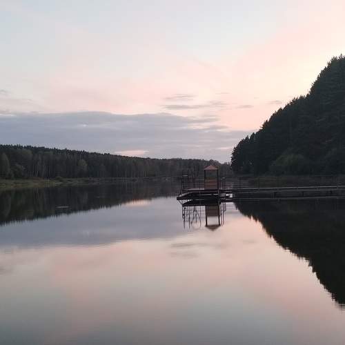 Photo #11048917