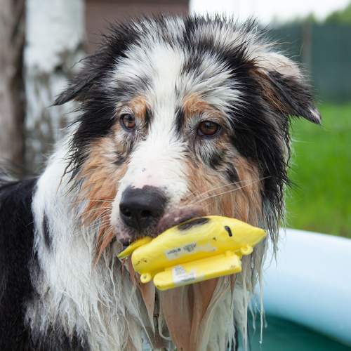Photo #11048991