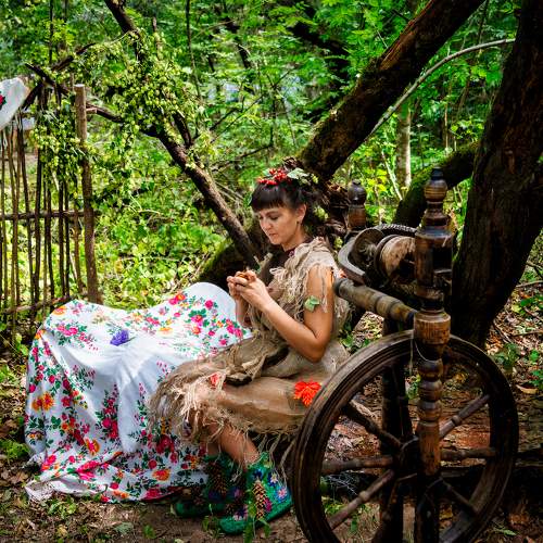 Photo #11049041
