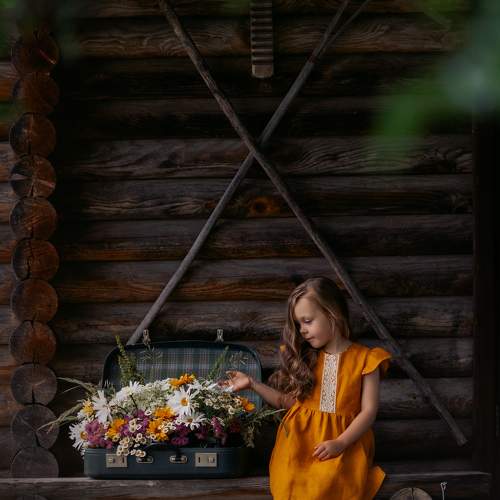 Photo #11049226