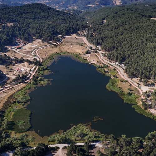 Photo #11049243