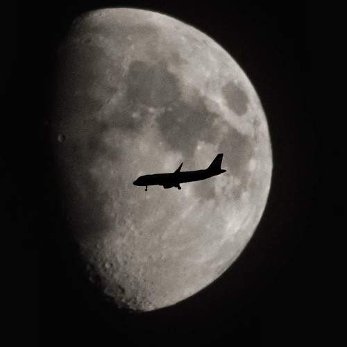 Photo #11049420