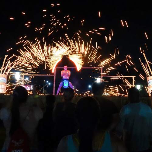Photo #11049520