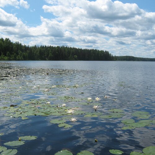 Photo #1106329