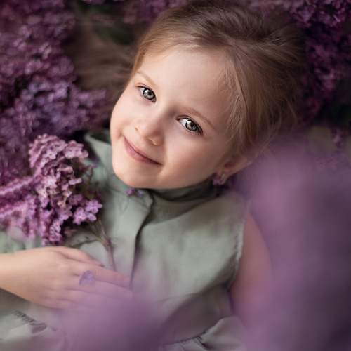Photo #11050675