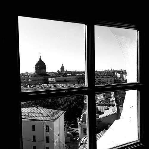 Photo #11050800