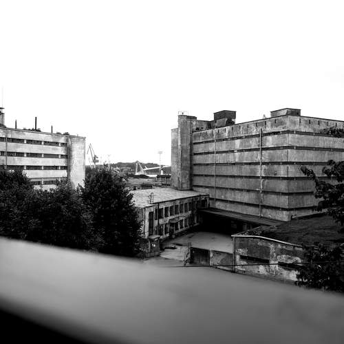 Photo #11050805