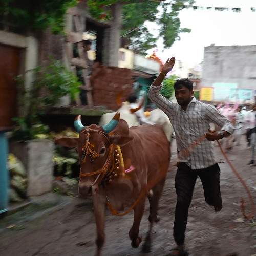 Photo #11051077