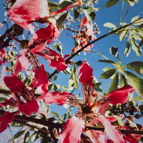 Photo #11051192