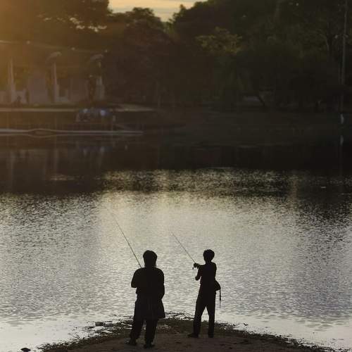 Photo #11051339