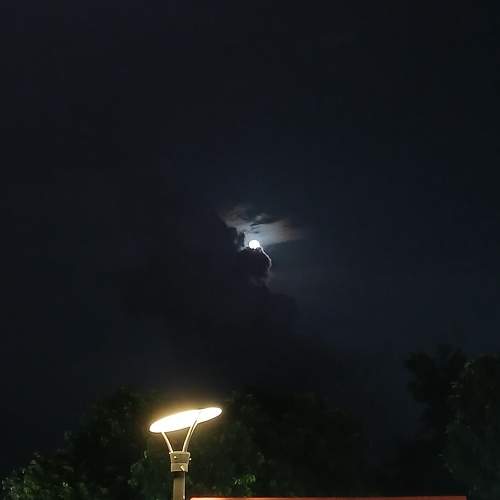 Photo #11051379
