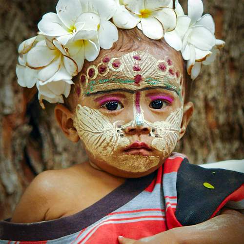 Photo #11051496