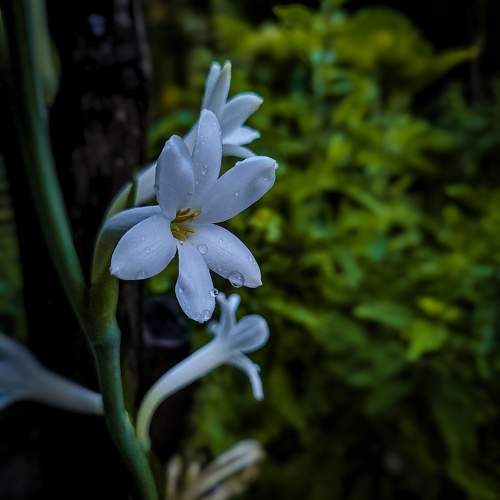 Photo #11052147