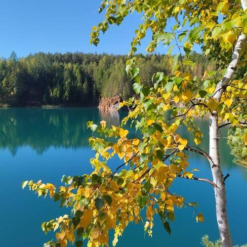 Photo #11052270