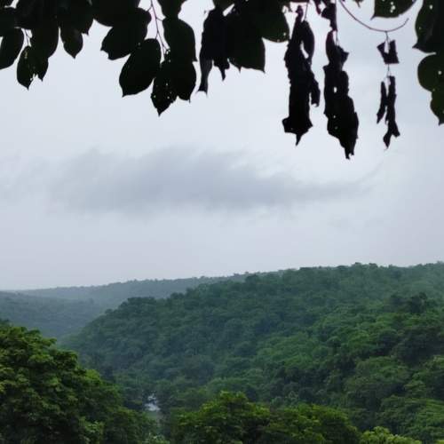 Photo #11052738