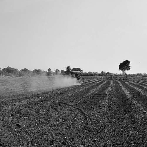Photo #11052821