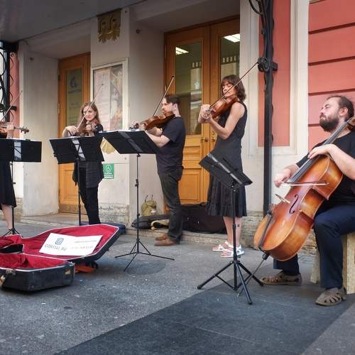 Photo #11053395