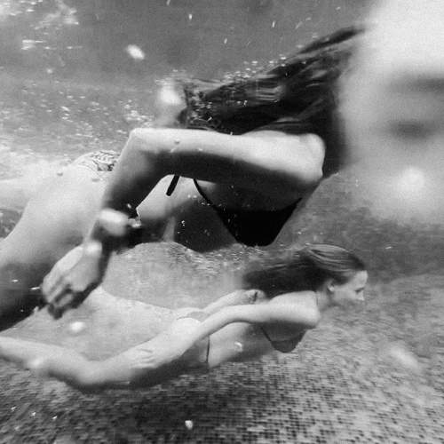 Photo #11053478