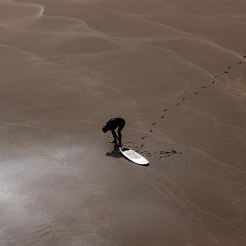 Photo #11053485