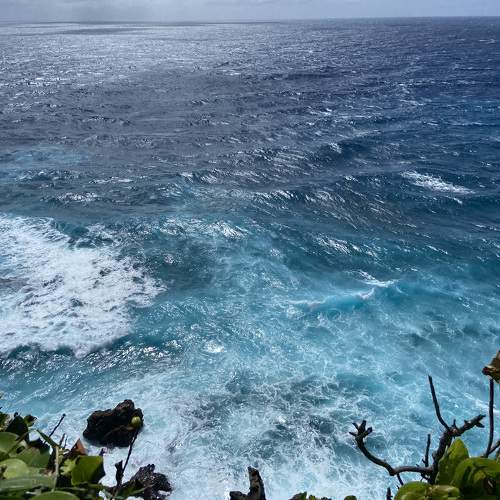 Photo #11053674
