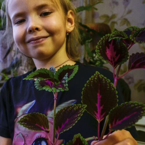 Photo #11053839