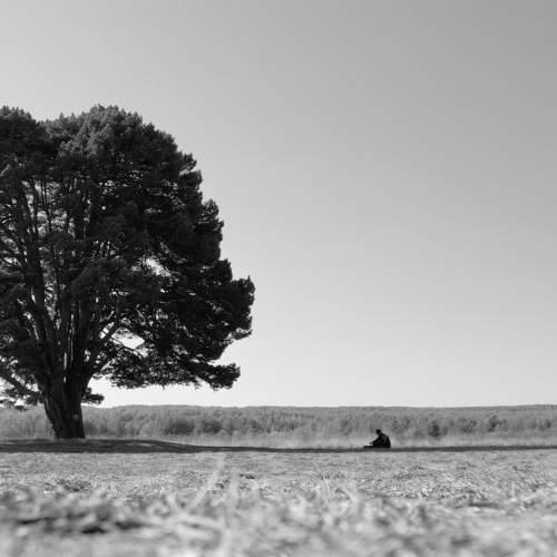 Photo #11054330