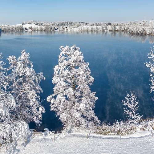 Photo #11054343