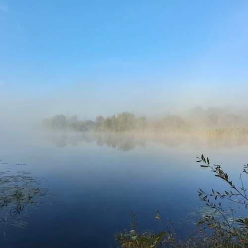 Photo #11054433