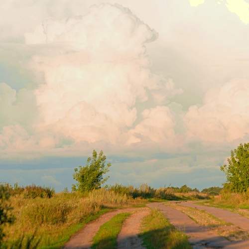 Photo #11054873