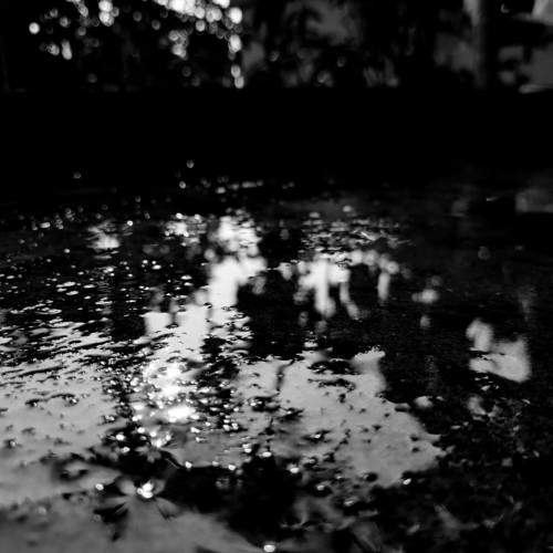 Photo #11055141