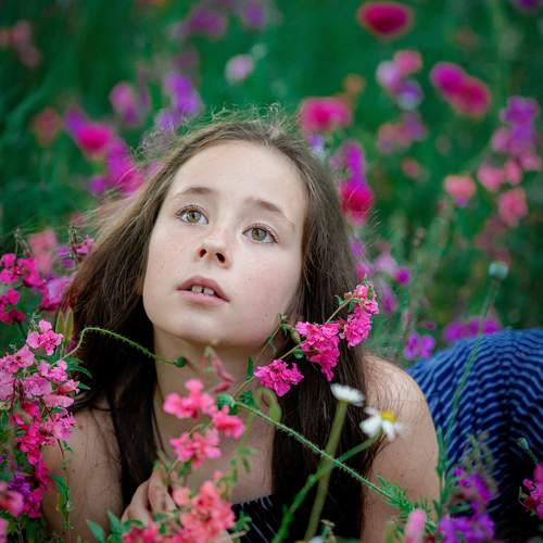 Photo #11055375