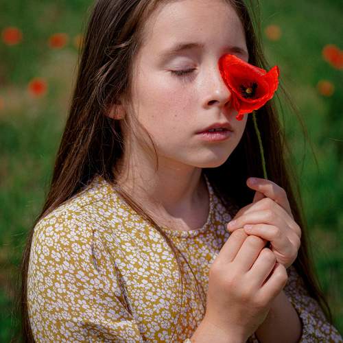 Photo #11055376