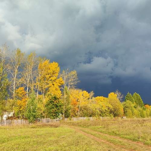 Photo #11055676