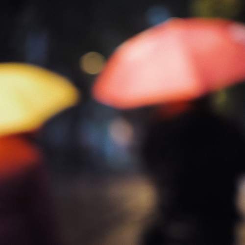 Photo #11055784