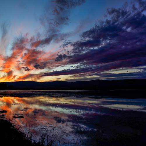 Photo #11055821