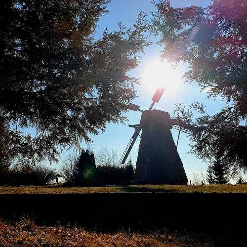 Photo #11055896