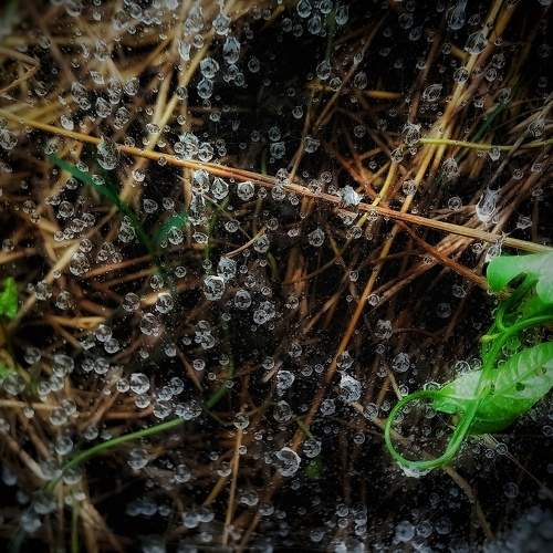 Photo #11056050