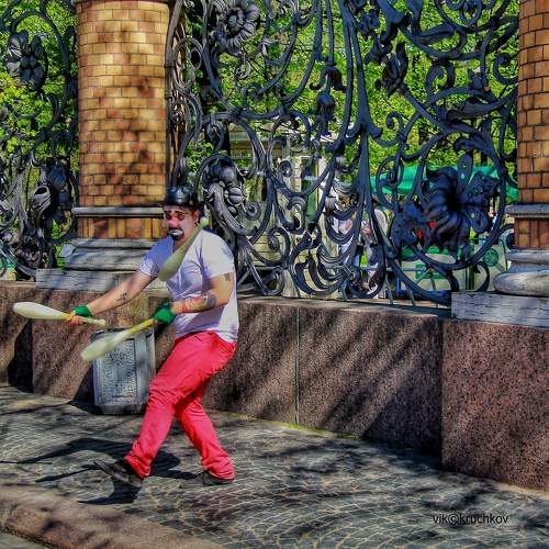 Photo #11056229