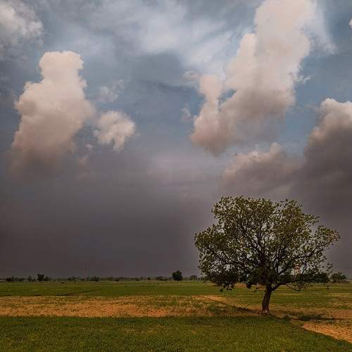 Photo #11056438