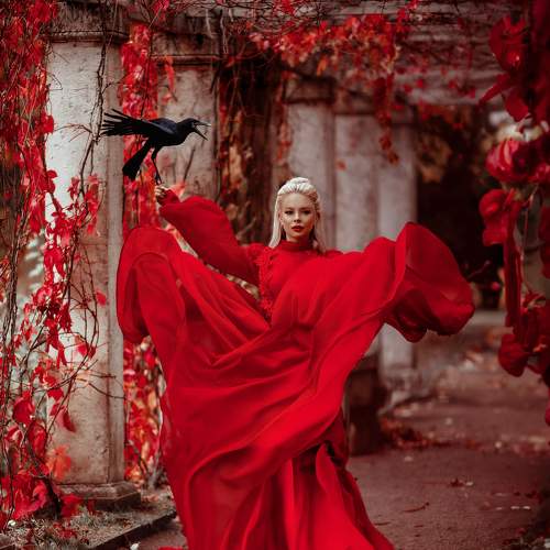 Photo #11056787