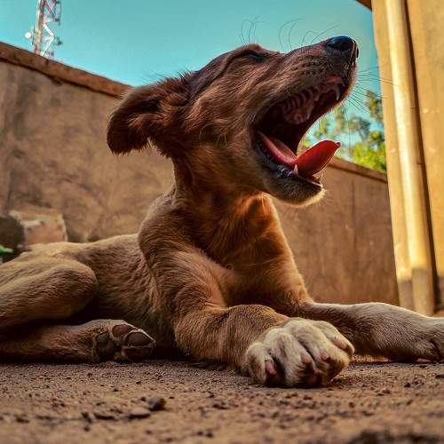 Photo #11057199